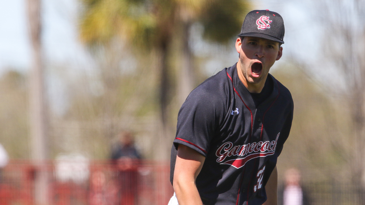 Gamecocks in Minor League Baseball: May recap