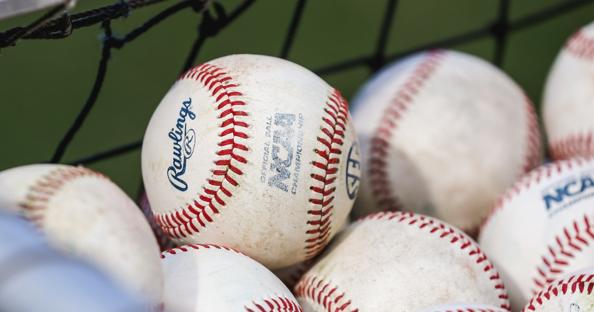 How Gamecocks are performing in summer baseball league action so far