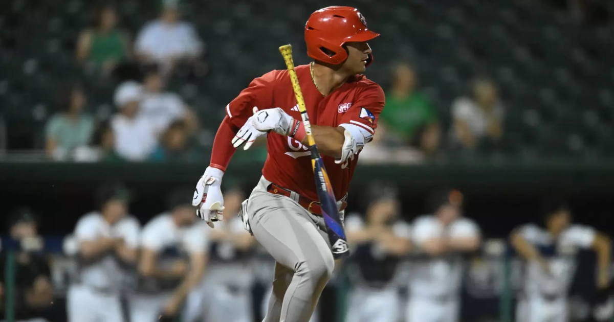 South Carolina baseball lands commitment from intriguing transfer portal bat