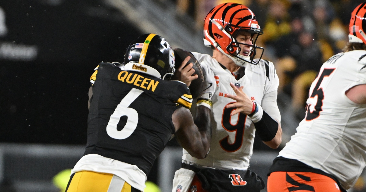 Steelers LB Patrick Queen reflects on aggravating 2024 season