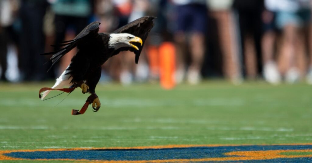 War Eagle, Auburn