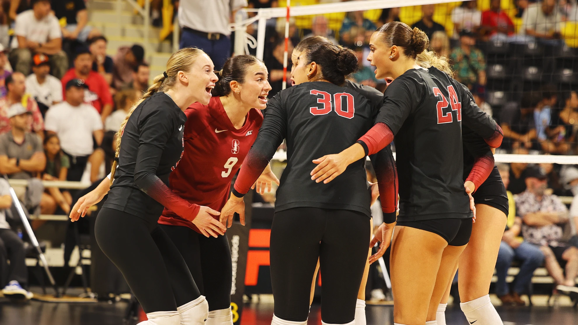 Resumen: No. 6 El voleibol femenino de Stanford se encarga de los negocios en Long Beach