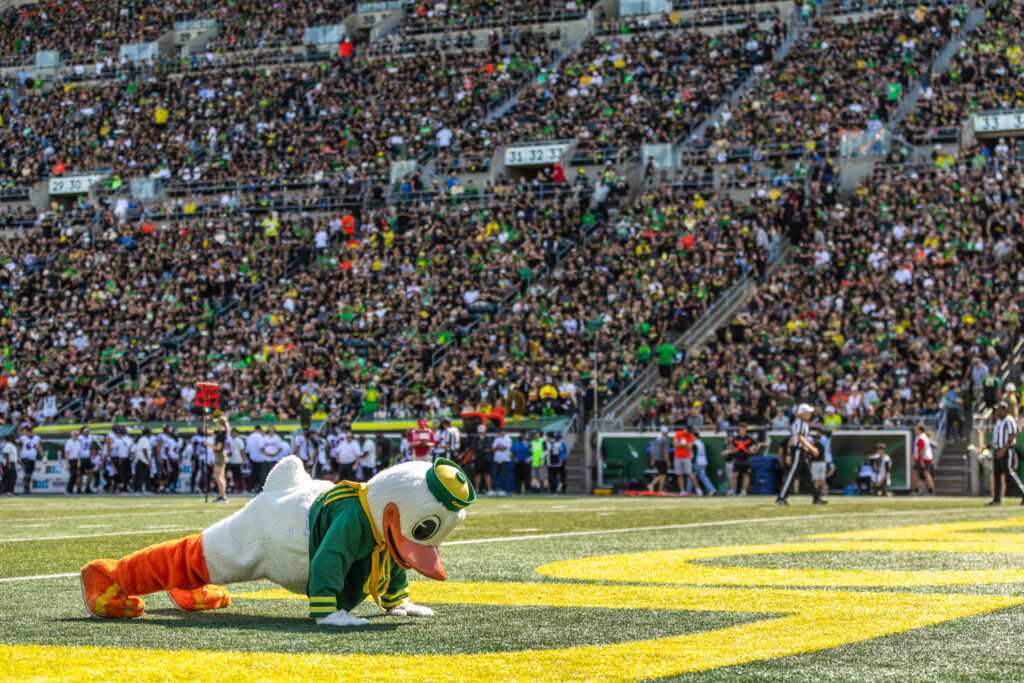 Oregon Duck