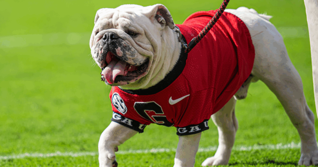 Nov 11, 2023; Athens, Georgia, USA; Georgia Bulldogs mascot Uga on the field before a game against the Mississippi Rebels at Sanford Stadium. Mandatory Credit: Brett Davis-Imagn Images