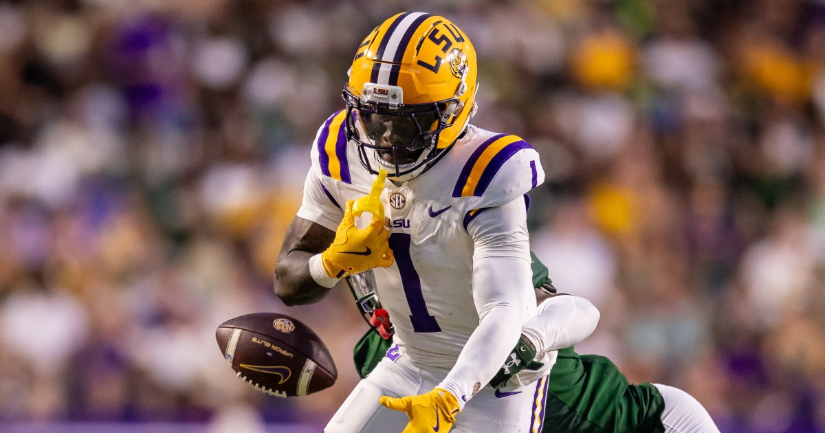 Aaron Anderson injury update: LSU receiver injures arm, heads to medical tent on sideline