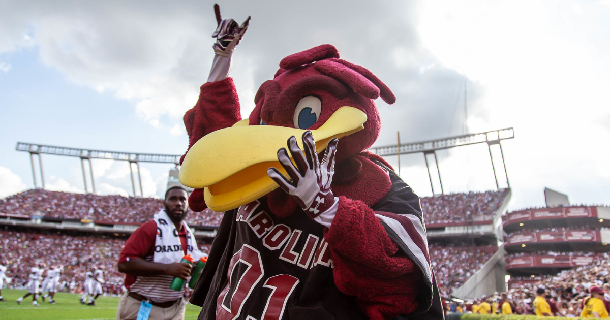 Final injury report is in for South Carolina's afternoon matchup with Alabama