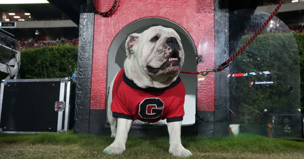 Next week, the Longhorns are battling Georgia between the hedges for the first time