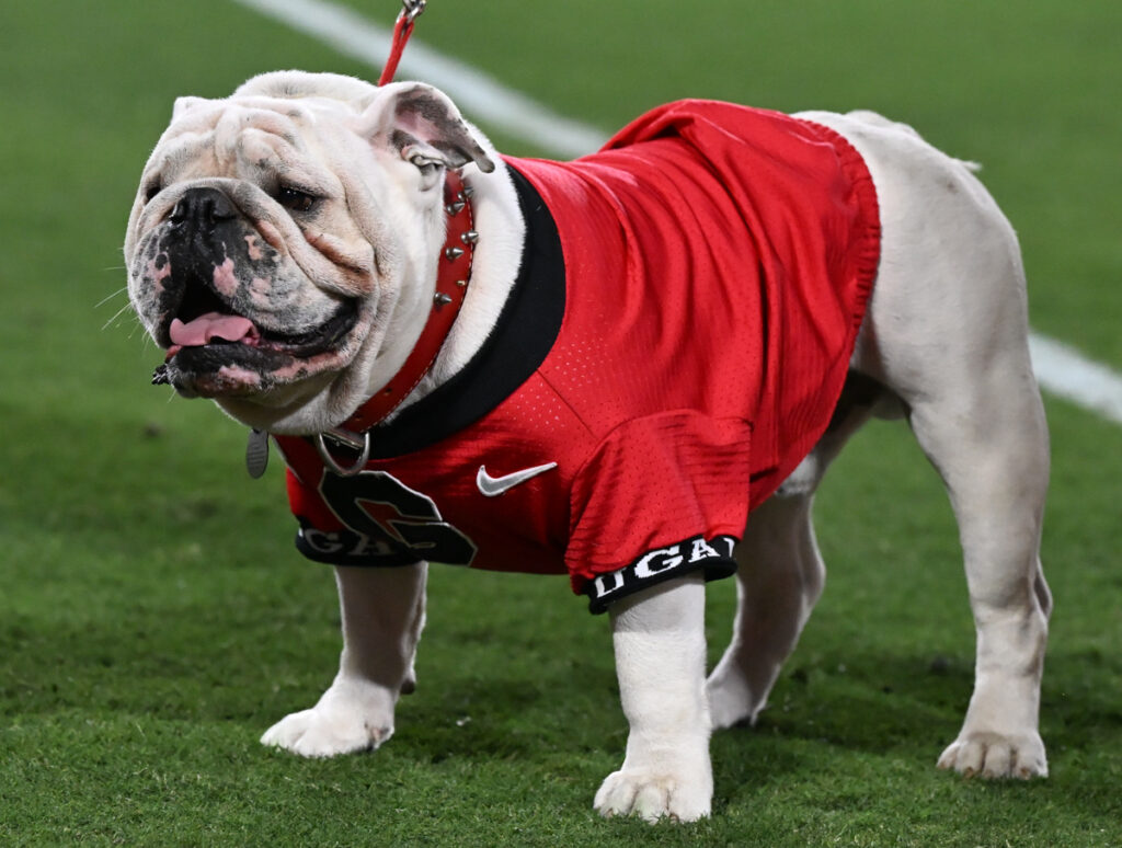 Uga