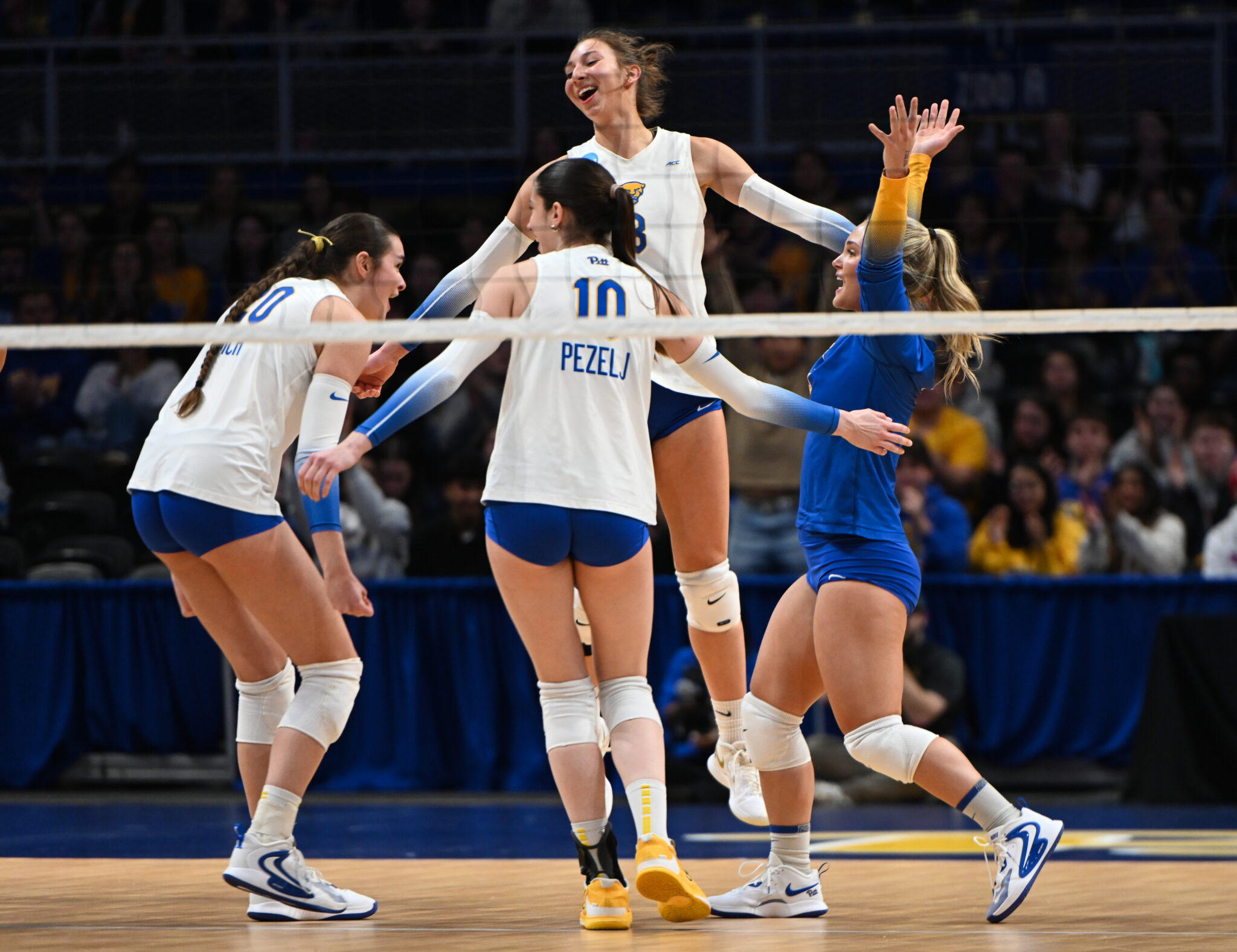 Pitt Volleyball Advances to Regional Final With Sweep of Minnesota