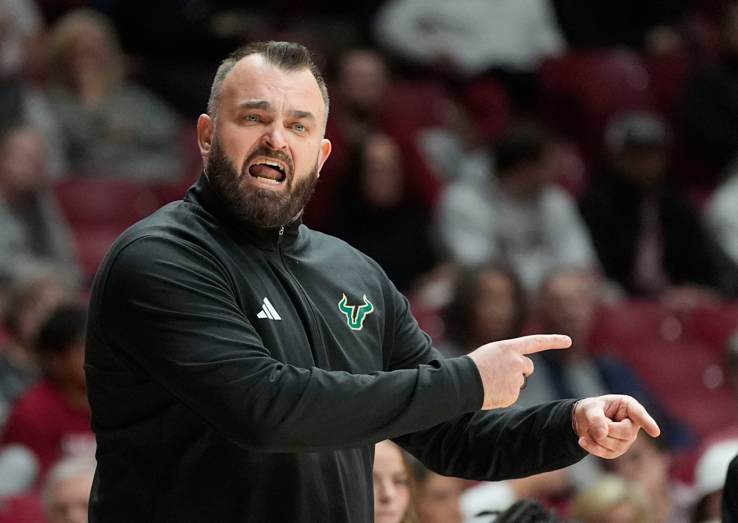 Bulls and first-year coach Hodgson capture American regular season crown