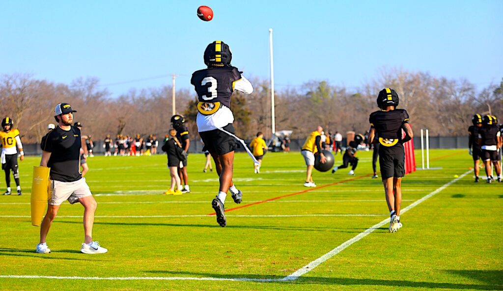 Mizzou receiver DaMarion Fowlkes