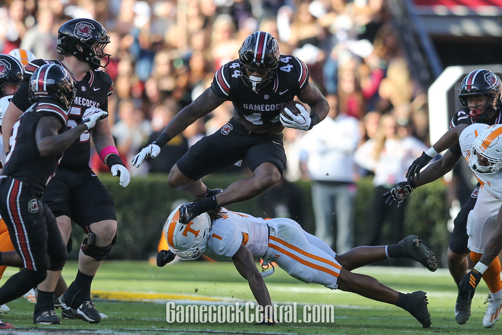 Maurice Machine Gamecocks Still Have Everything Ahead of Them