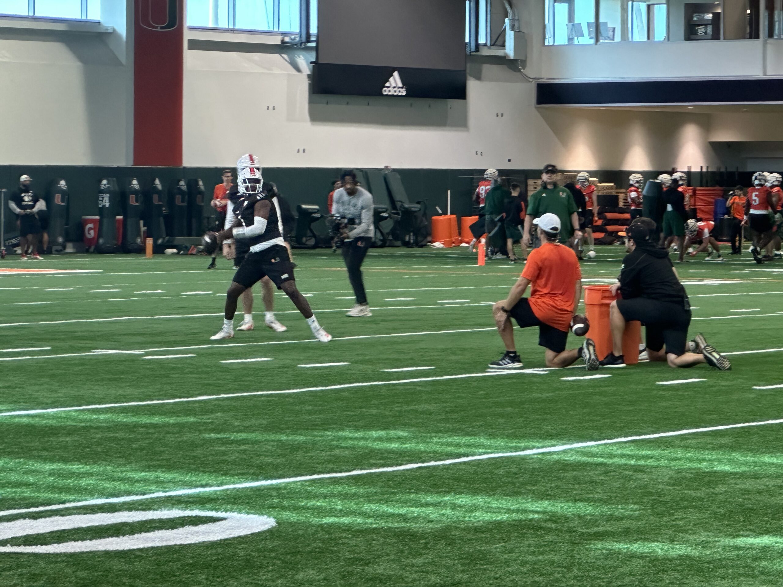 Canesport 247 - lgntpvu
