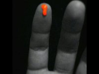 Vols blood orange.jpg