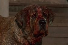 1000006147.jpg 1000006147.jpg