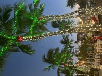 IMG_3776.jpeg IMG_3776.jpeg