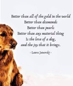 dogs better than diamonds.jpg