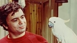 IMG_9553.jpeg IMG_9553.jpeg