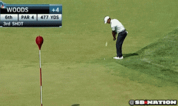 tigerfail[1].gif