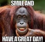 1768573768779.jpeg 1768573768779.jpeg