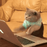IMG_6575.gif
