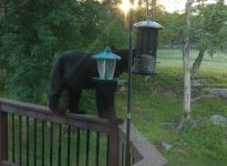 1769451903972.jpeg 1769451903972.jpeg