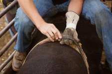 1000021862.jpg 1000021862.jpg