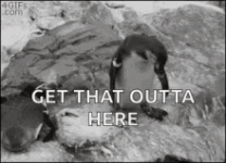 1000010833.gif