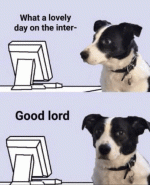 lovely day on the internet.gif