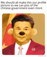 1772313525663.gif