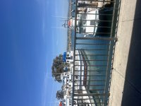 IMG_6700.jpeg