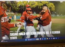 Sasaki Grand Slam.jpg