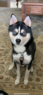 IMG_4730.png