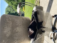IMG_1858.jpeg