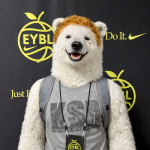 polarbear.png