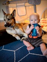 IMG_4390.jpeg