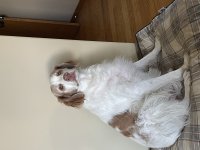 IMG_1834.jpeg