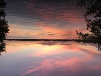 IMG_2877.jpeg