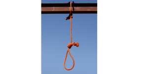 download.png