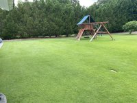 IMG_8087.jpeg