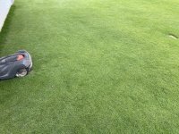 IMG_8086.jpeg