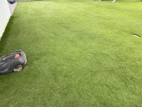 IMG_8085.jpeg