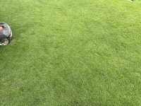 IMG_8084.jpeg
