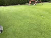 IMG_8083.jpeg