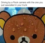 1786218526587.png