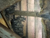 IMG_3486.jpeg