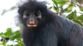 IMG_3982.jpeg