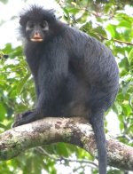 IMG_3983.jpeg