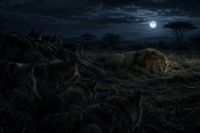 673A0963-93B7-4307-BAF6-AD7ABD7B4AAF.png