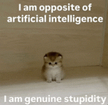 kitty-cat.gif